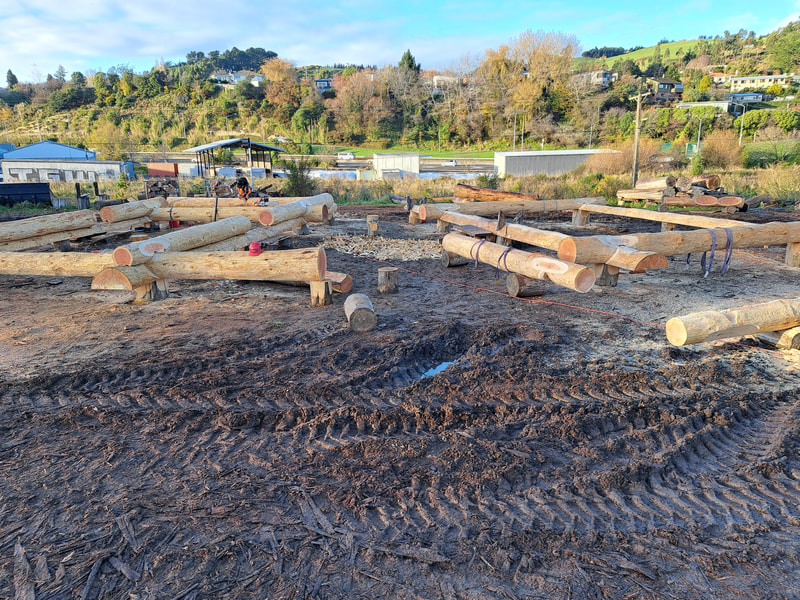 First round log home Darfield