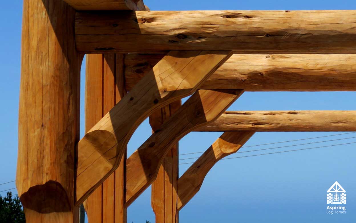 Log Post and Beam with Log Knee Brace. Mortise and Tenon