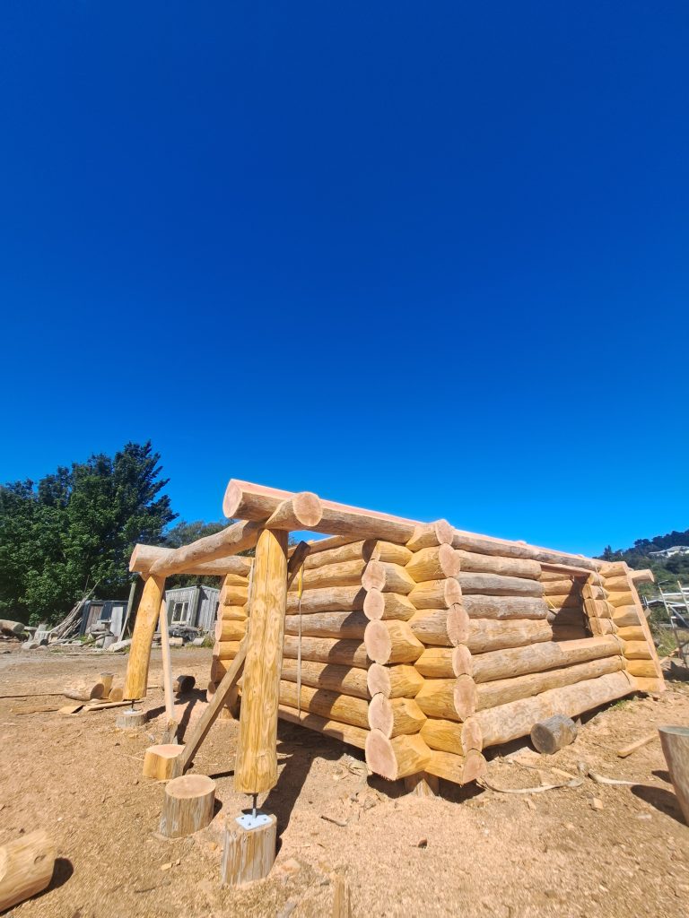 Douglas Fir Log Cabin